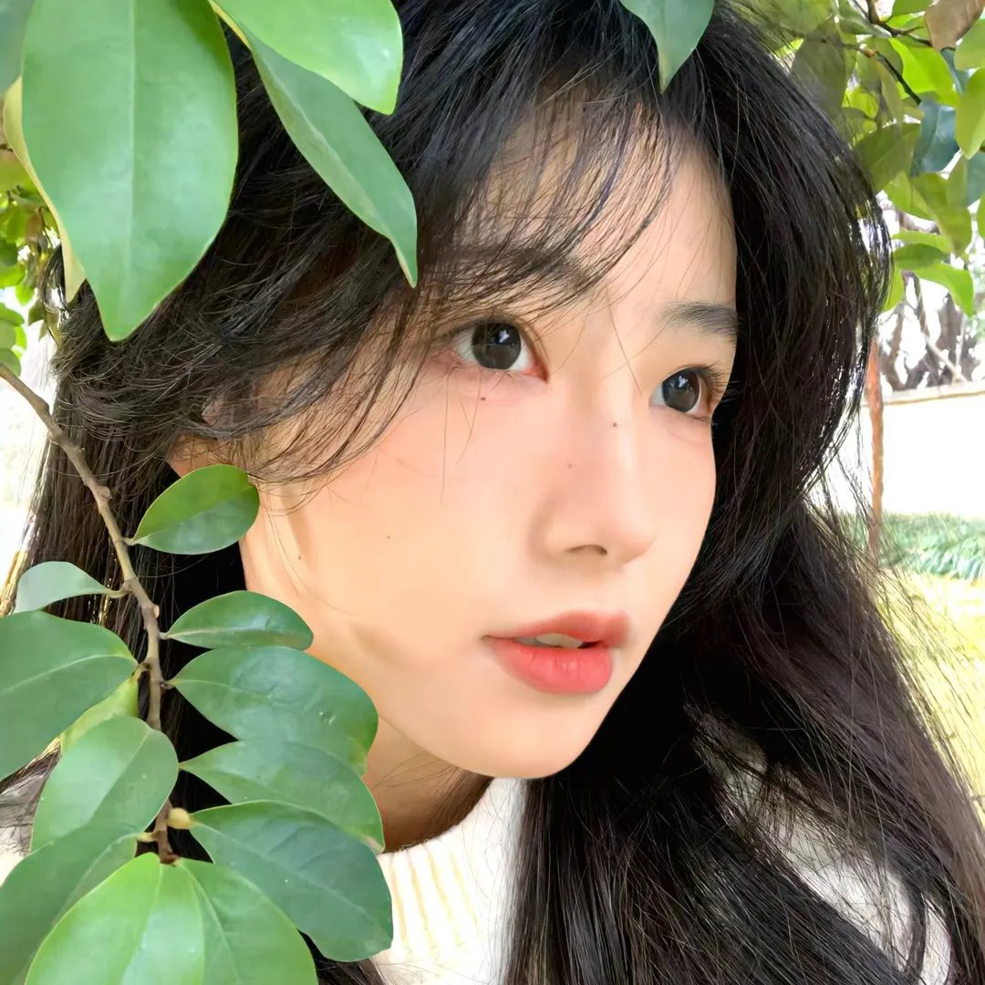 总统的女儿