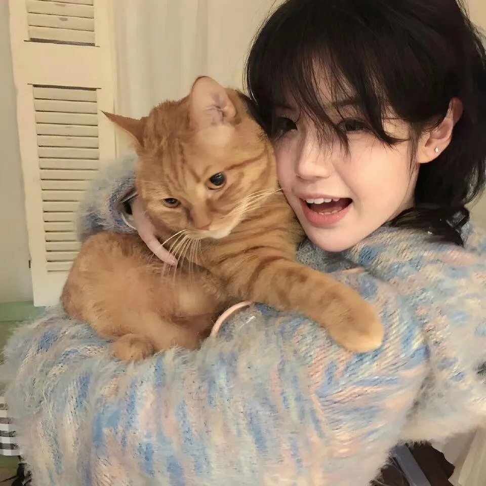 加菲猫和他的朋友们第七季